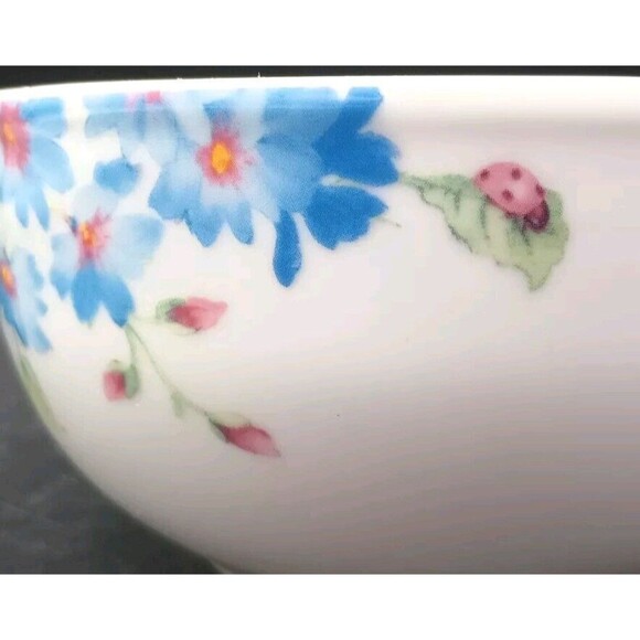 pfaltzgraff annabelle Botanic Cereal Bowl Flowers Floral  Ladybug - Picture 4 of 8